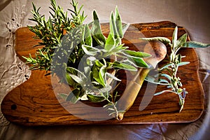 Pestle and mortar with herbs