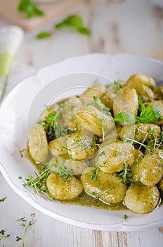 Pesto gnocchi, garlic and fresh herbs olive oil