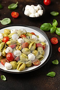 Pesto Pasta Salad with Cherry Tomatoes and Mozzarella cheese. Healthy food.