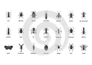 Schädlinge Insekten illustrationen 