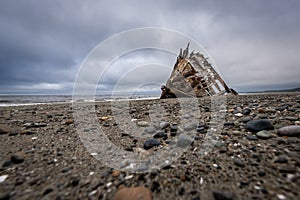 Pesuta Shipwreck on Haida Gwaii