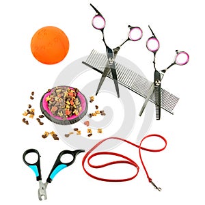 Pet accessories concept. Dry food, Scissors, comb and leash for pet on isolated white . Collage