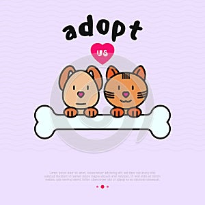 Pet adoption concept: funny cat and dog with bone