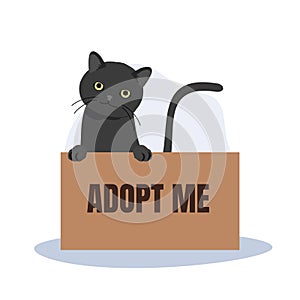 pet adoption and fostering concept. Black Cat in Box with 'Adopt Me' Sign