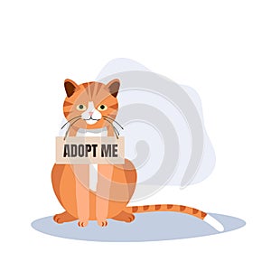 pet adoption and fostering concept. Homeless Furry Friend with Adoptable Collar. orange Cat with 'Adopt Me' Collar