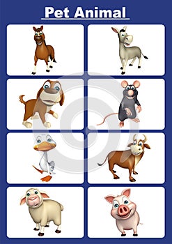 pet animal chart