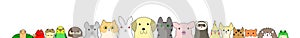 Pet animals banner