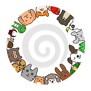 Pet animals in circle photo