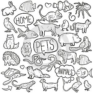 Pet Animals Home Traditional Doodle Icons Sketch Hand Made Design Vector