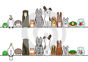 Pet animals in line, front and back