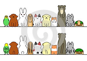 Pet animals in a row with copy space, front and back