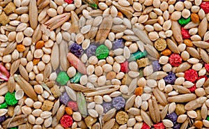 Pet Bird Food Seeds Grain