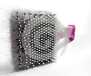 Pet Brush