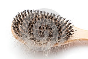Pet brush with clump of dog hair photo