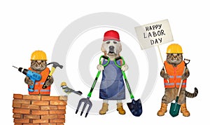 Pet builders celebrate labor day 2