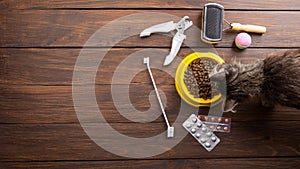 Pet care and training concept. Flat lay accessories for cat and dog with bowl of dry food on wooden background. Little kitten eats