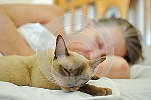 Pet cat sleeping on bed with mature older woman