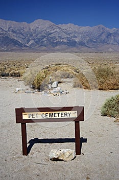 Pet Cemetery