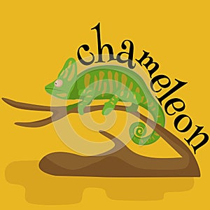 Pet chameleon for home, lizard and reptile isolated vector pictograms