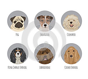 Pet dog breed round badge stickers