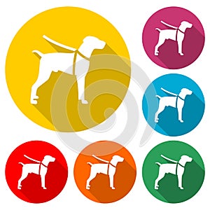 Pet Dog Flat Icon With Long Shadow