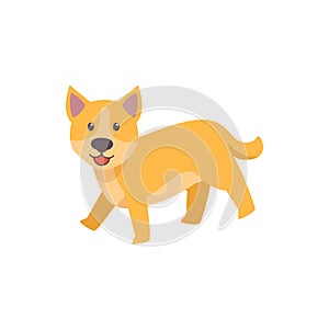 Pet dog smile vector illustration design