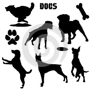 Pet dogs, black silhouette - vector collection