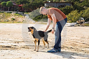 Pet, domestic animal, season and people concept - happy man with his dog walking outdoors