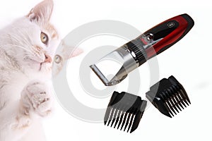 Pet electric hair clipper