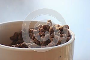 Pet food in a bowl on a light background. balanced food for animals, dry food