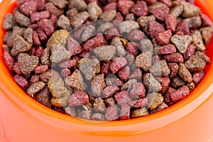 Pet food in orange bowl. Dry food for cat or dog