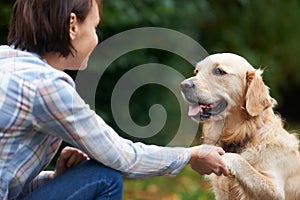 Pet Golden Retriever And Owner Playing Outside Together