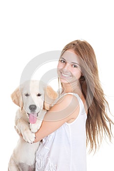 Pet golden retriever puppy dog