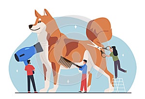 Pet grooming. Big dog with tiny people, groomers hold scissors, comb and hair dryer, hygiene and animal care
