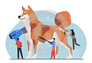 Pet grooming. Big dog with tiny people, groomers hold scissors, comb and hair dryer, hygiene and animal care, professional beauty