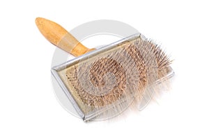 Pet Grooming Brush with animal hair. Isolated on white background.