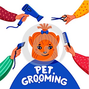 Pet grooming concept. Happy lap-dog and hands with comb, hair dryer, scissors and haircut clipper on white background