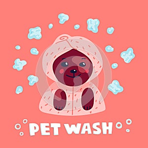 Pet grooming concept. Happy lap-dog in a towel and bathrobe in spa salon. Dog care, grooming, hygiene, health. Pet shop