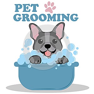 Pet Grooming for Dogs and Cats.