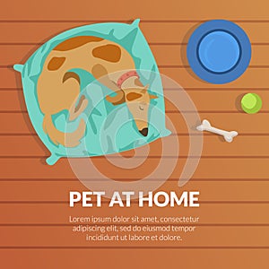 Pet at Home Banner Template with Cute Dog Sleeping on a Mat, View from Above Flat Vector Illustration