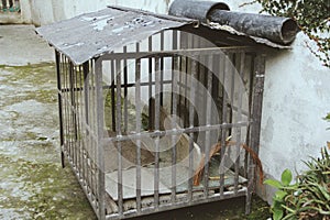 Pet House, unused