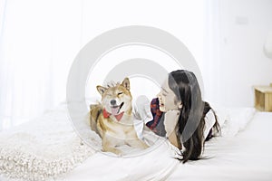 Pet Lover concept. The girl is petting the dog`s head, Shiba Inu. An Asian woman is resting with a Shiba Inu dog on bed in bed