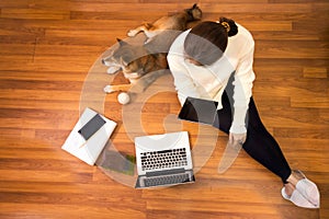 Pet Lover concept. Work from home and pets. Top view. Japanese dog and Young woman working with a laptop on the wooden floor.