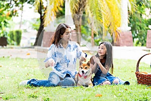 Pet lover. The daughter thanked the mother and the gift was a Shiba Inu dog. An Asian family plays with a Shiba Inu dog photo