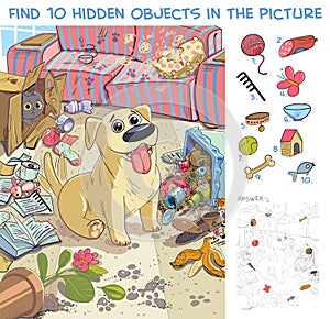 Pet made a mess in the house. Find 10 hidden objects