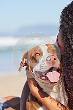 Pet, nature and dog with woman on beach for exercise, training and adventure outdoors. Happy, excited and pitbull with