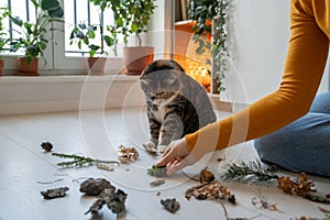 Pet owner entertaining her lazy fluffy cat teaches her to distinguish smells sitting on floor.