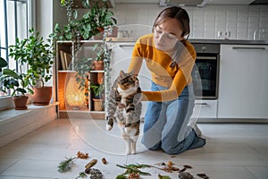 Pet owner holding idle lazy cat trying to stimulate interest, activity with natural objects on floor