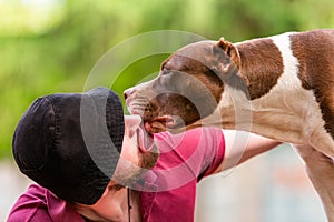 Pet owner receiving a kiss lick from his pet dog, loving affectionate bond