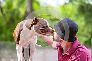 Pet owner receiving a kiss lick from his pet dog, loving affectionate bond